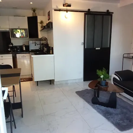 Maison Coquette Camarguaise Codognan