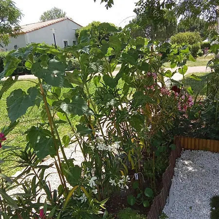 Maison Coquette Camarguaise * Codognan