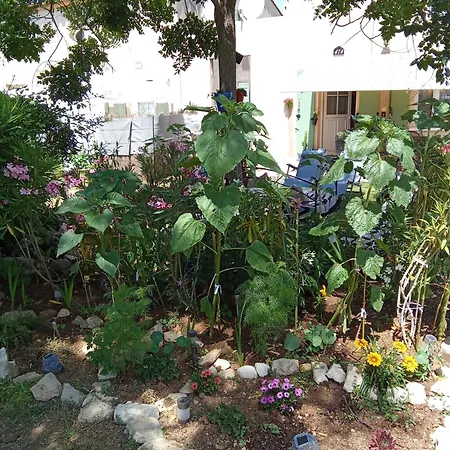 Maison Coquette Camarguaise Tatil Evi