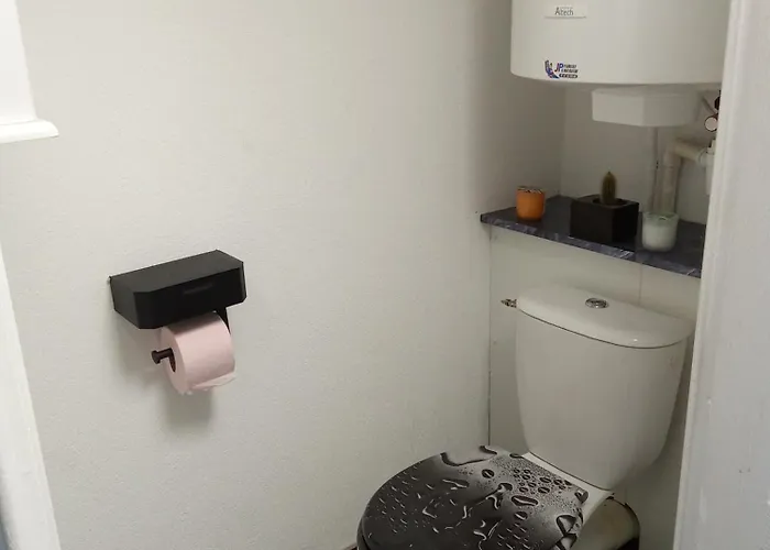 Maison Coquette Camarguaise Tatil Evi