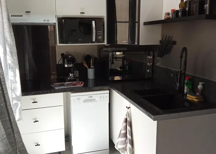 Maison Coquette Camarguaise *