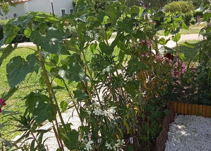 Maison Coquette Camarguaise * Codognan