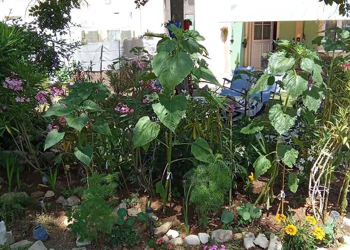 Maison Coquette Camarguaise Tatil Evi