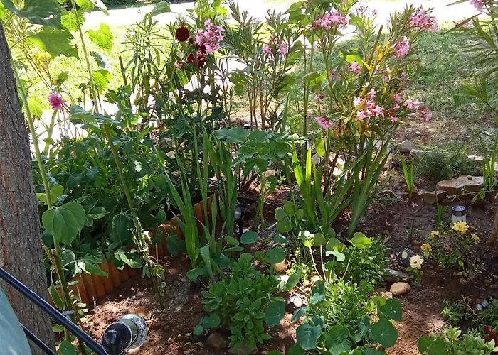 Maison Coquette Camarguaise *
